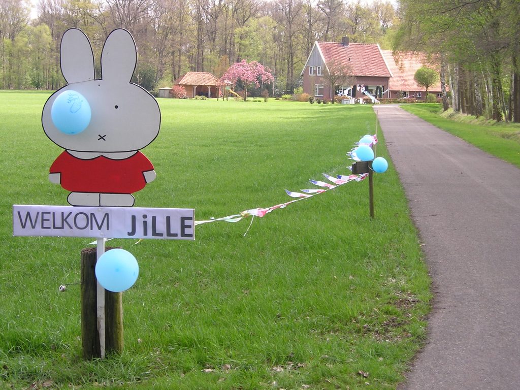 jille 001