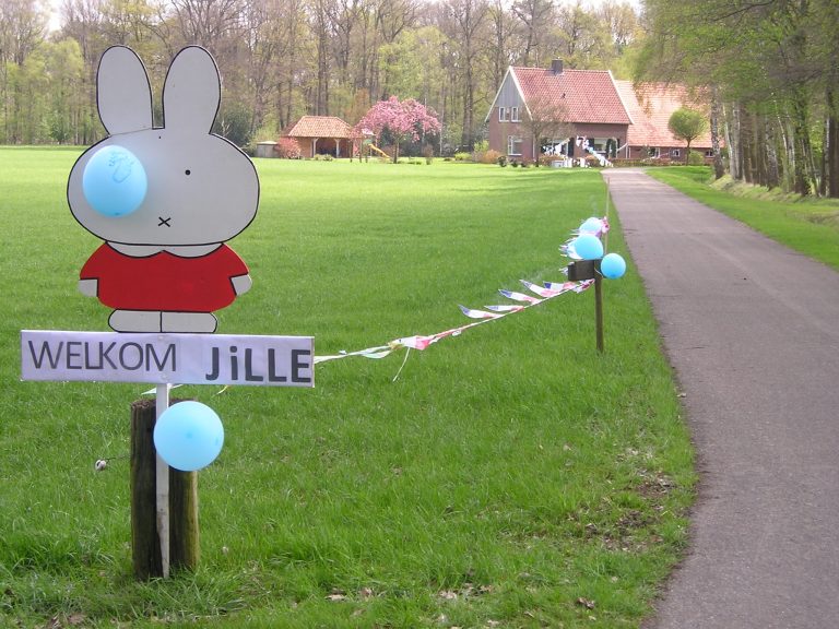jille 001