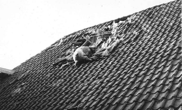 varken op_dak_assink