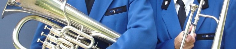 amuzantt