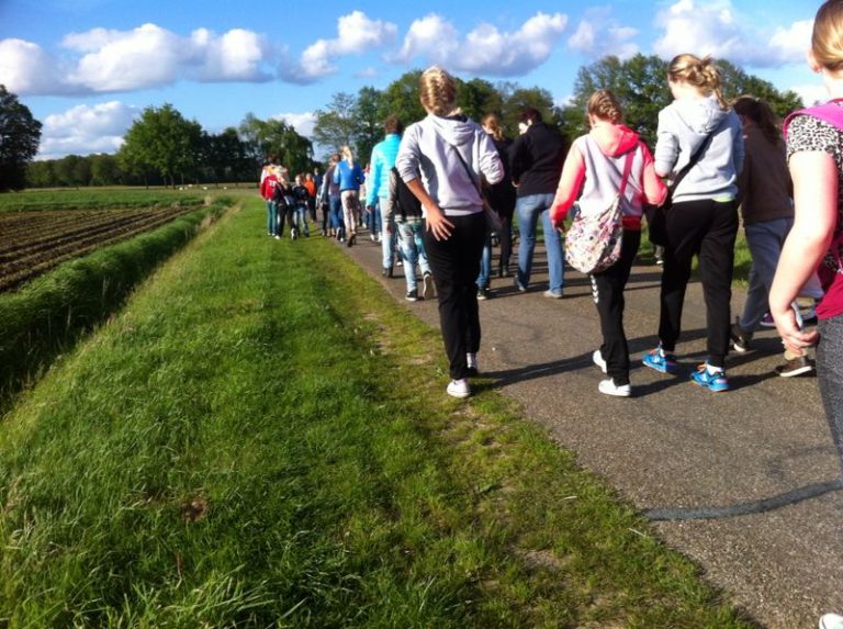 wandel 2