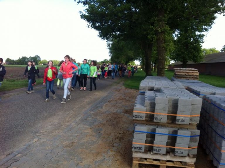 wandel 1