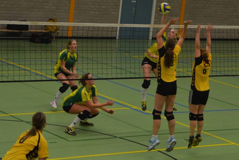 cupido 28-11-14 nr 4