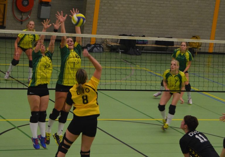 cupido 28-11-14 nr 2