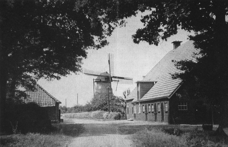 FOTO 6 eetgerink met molen