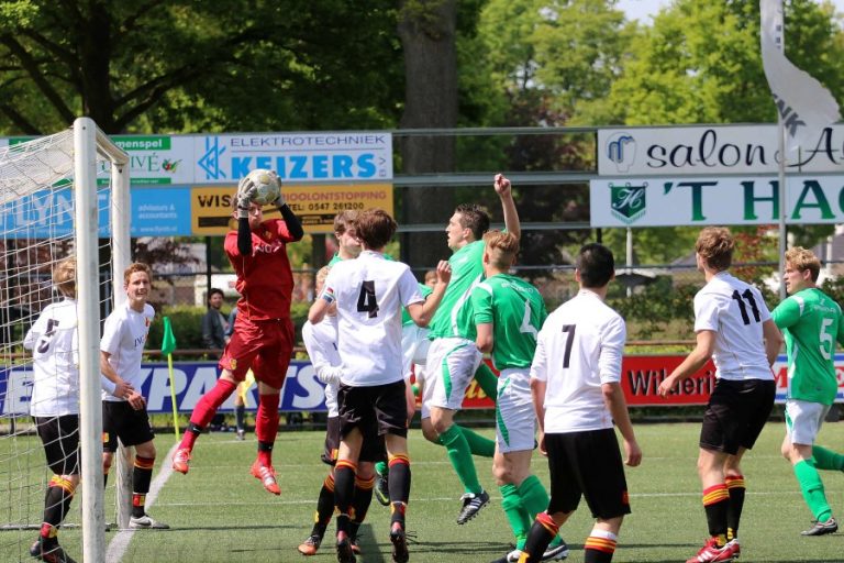 HSC 2-Be Quick 2 33 z Custom