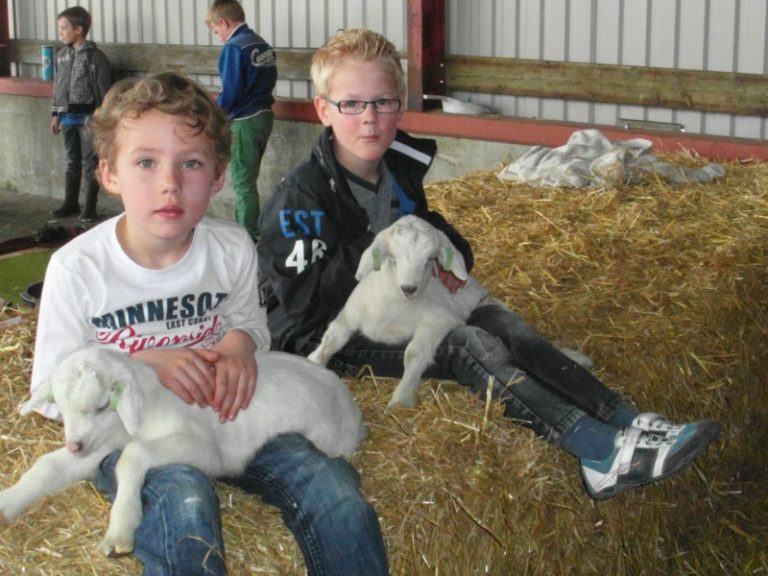 kiekeboer 2 1600x1200