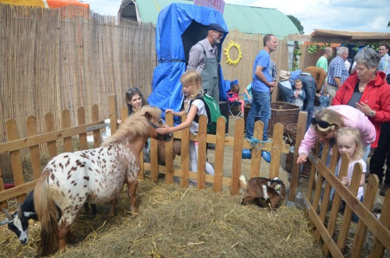 zondag kids Custom