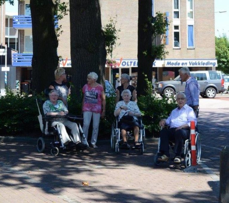 zonnebloem 1