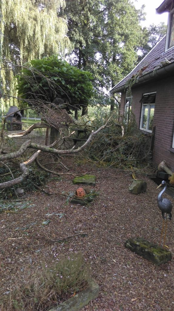 diep beter