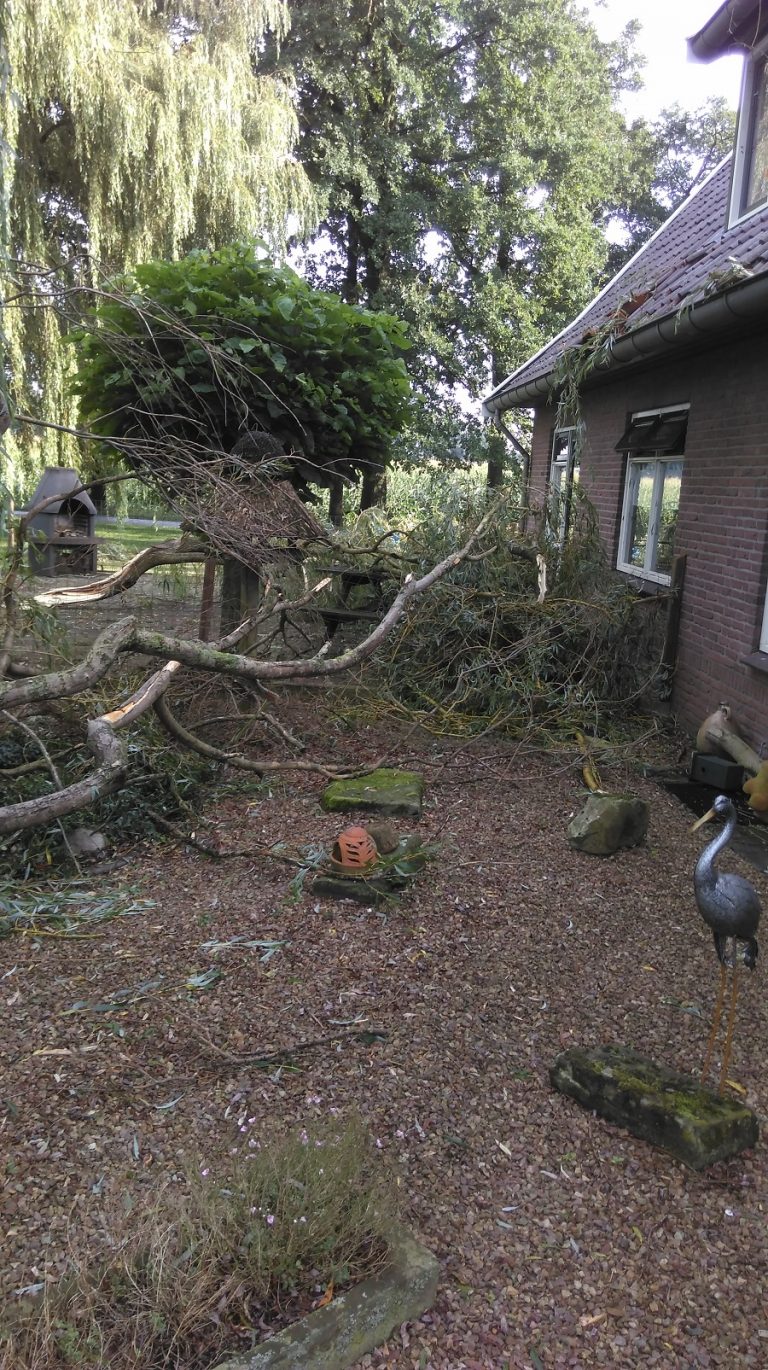 diep beter