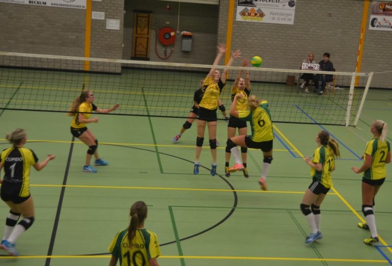 cup 3