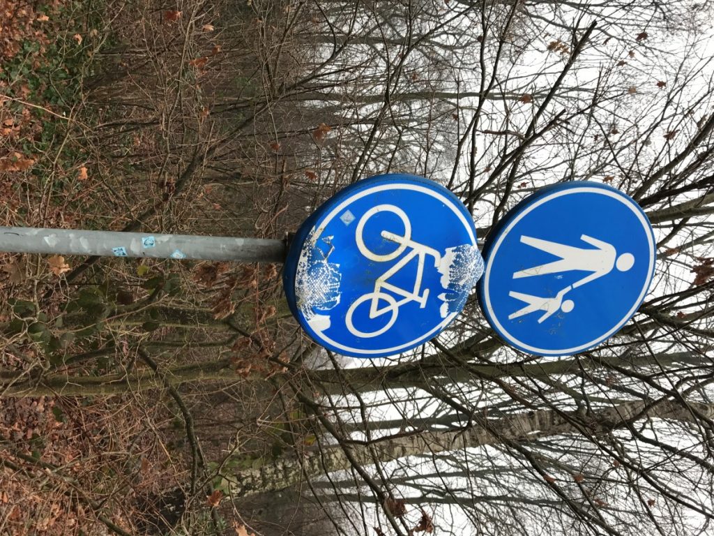 schade 2016 4