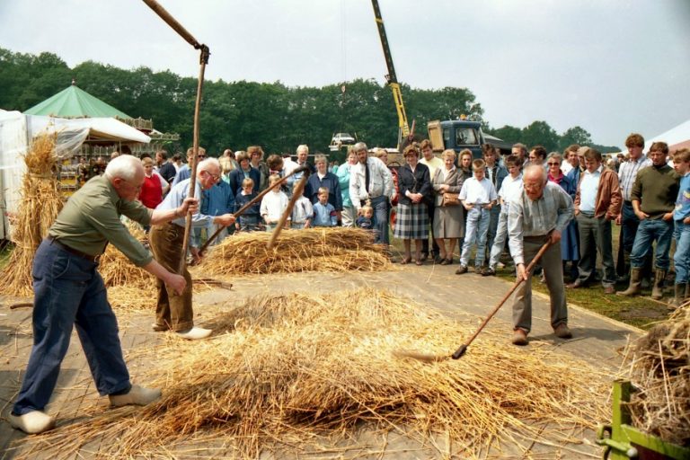 FOTO 11 dorsers foto RB