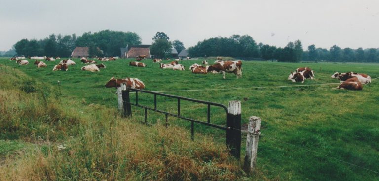 FOTO 2 boerderij 001