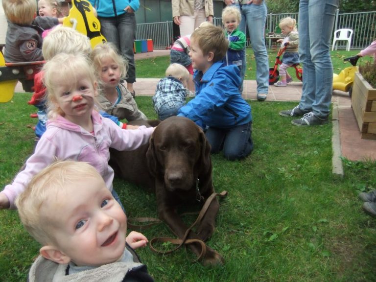 dierendag bommel 2011 017