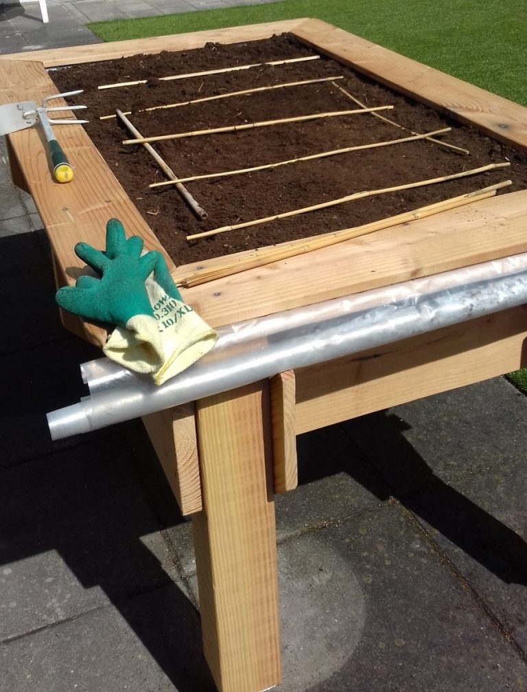 pluktuin 1