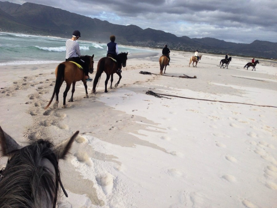 Paardrijden op het strand in Noordhoek