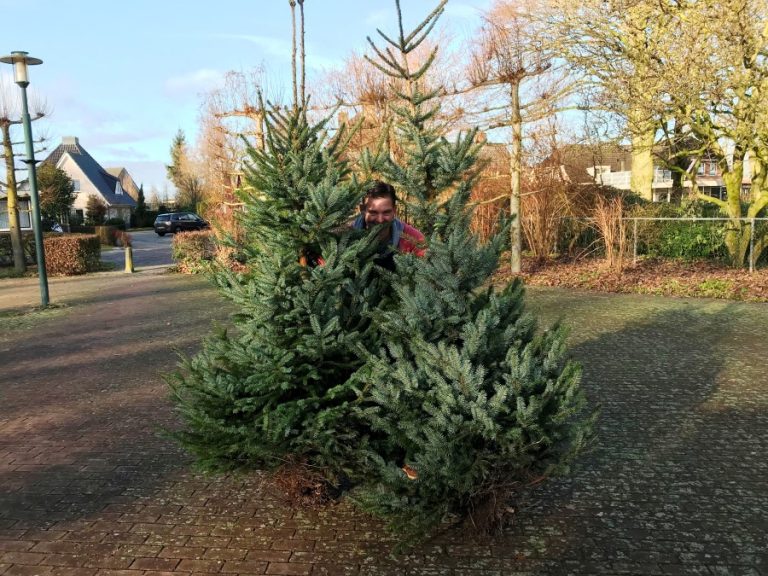 voorb kerstmarkt 5