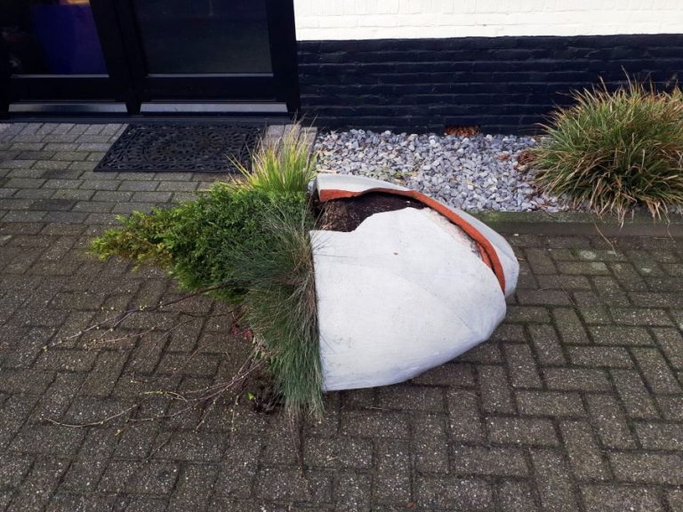 36124bd4-8d7e-4282-a72e-61e3b38f16b2