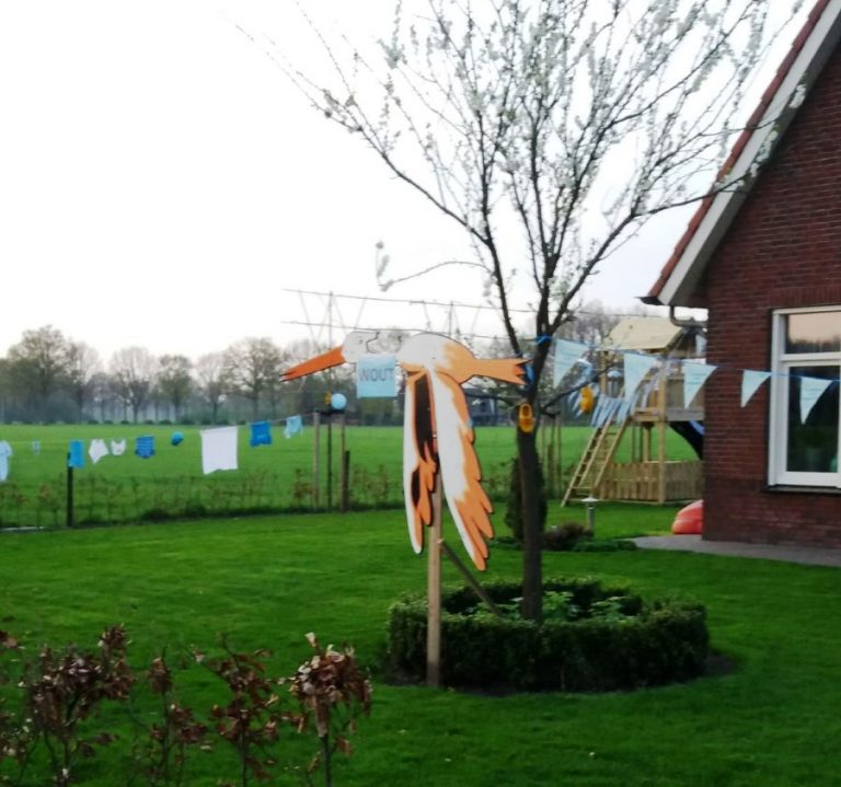 WOUT 2