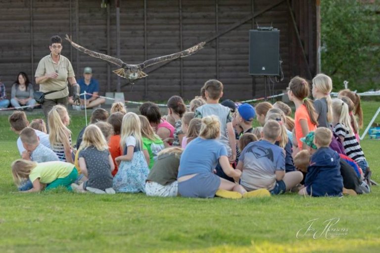 Roofvogelshow