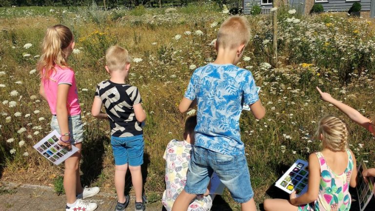 bijenles in buitenlokaal van Robbie ten Thije