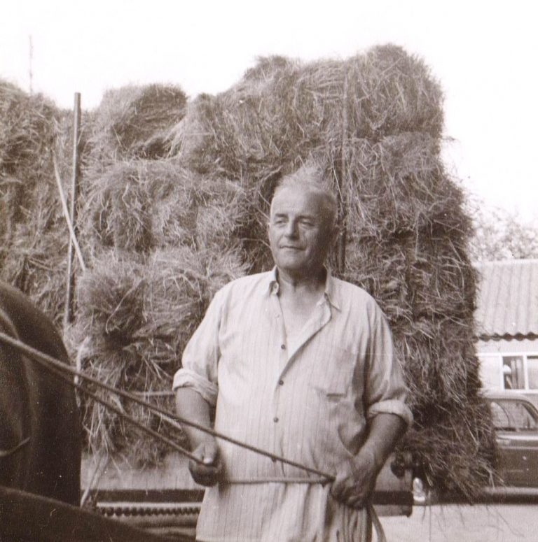 oom jan brengt het hooi binnen