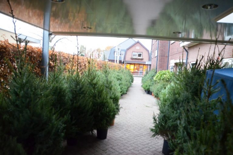 bazar van jon bome nordman 1