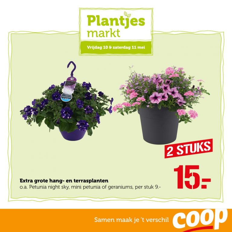 thumbnail Aanbod plantjesmarkt