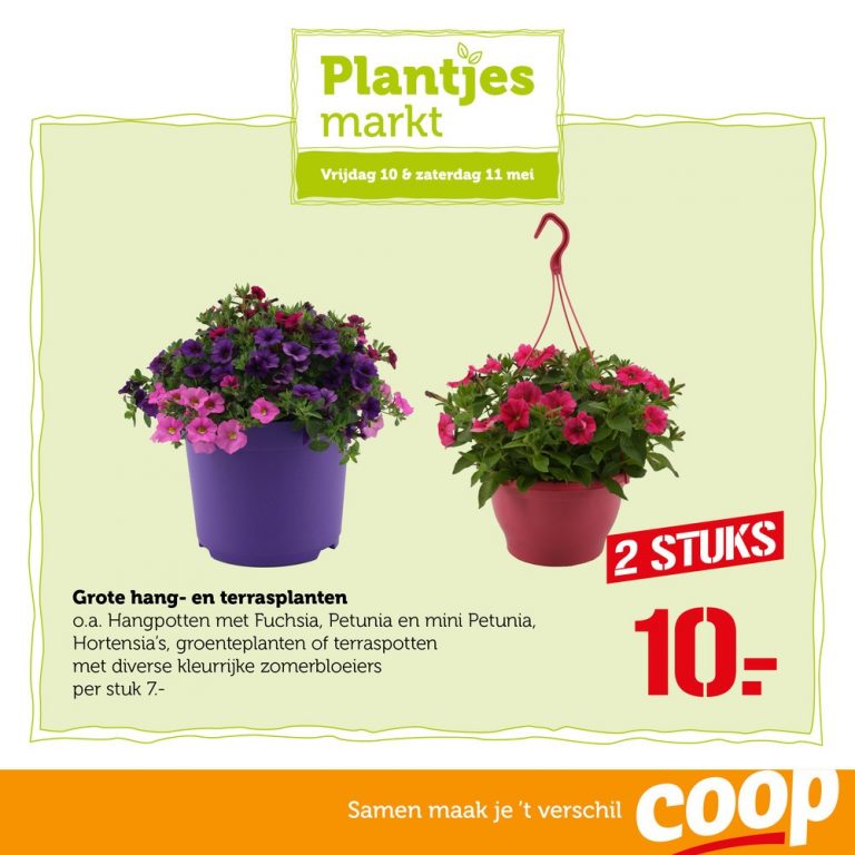 thumbnail Aanbod plantjesmarkt 1