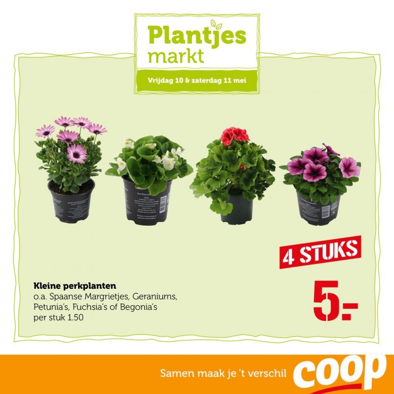 thumbnail Aanbod plantjesmarkt 2