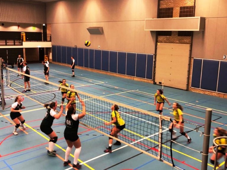 d99954c1 bc52 4ca1 bb3a da084b02de82 Custom