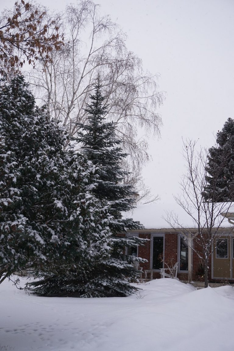 Leferink home 161 Linacre Rd January 2020 no thoughts of COVID