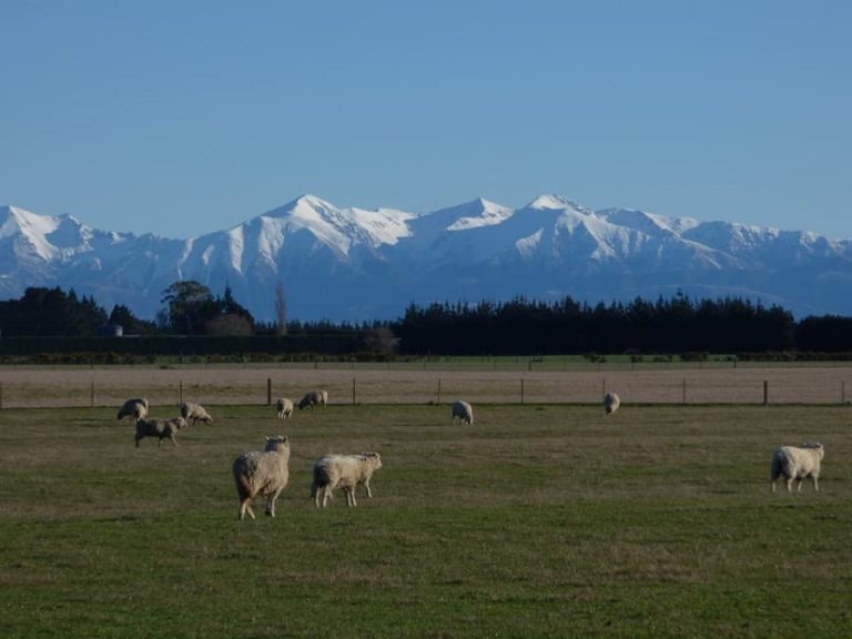 uitzicht op de Southern Alps vanuit ons dorp Custom