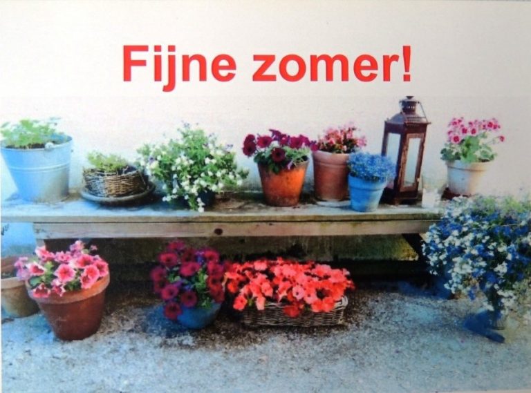Fijne zomer Custom
