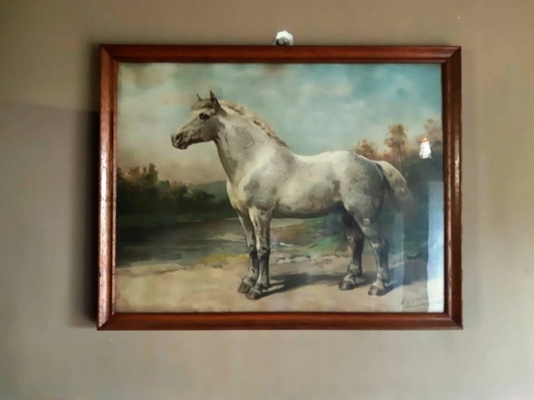 paard Custom