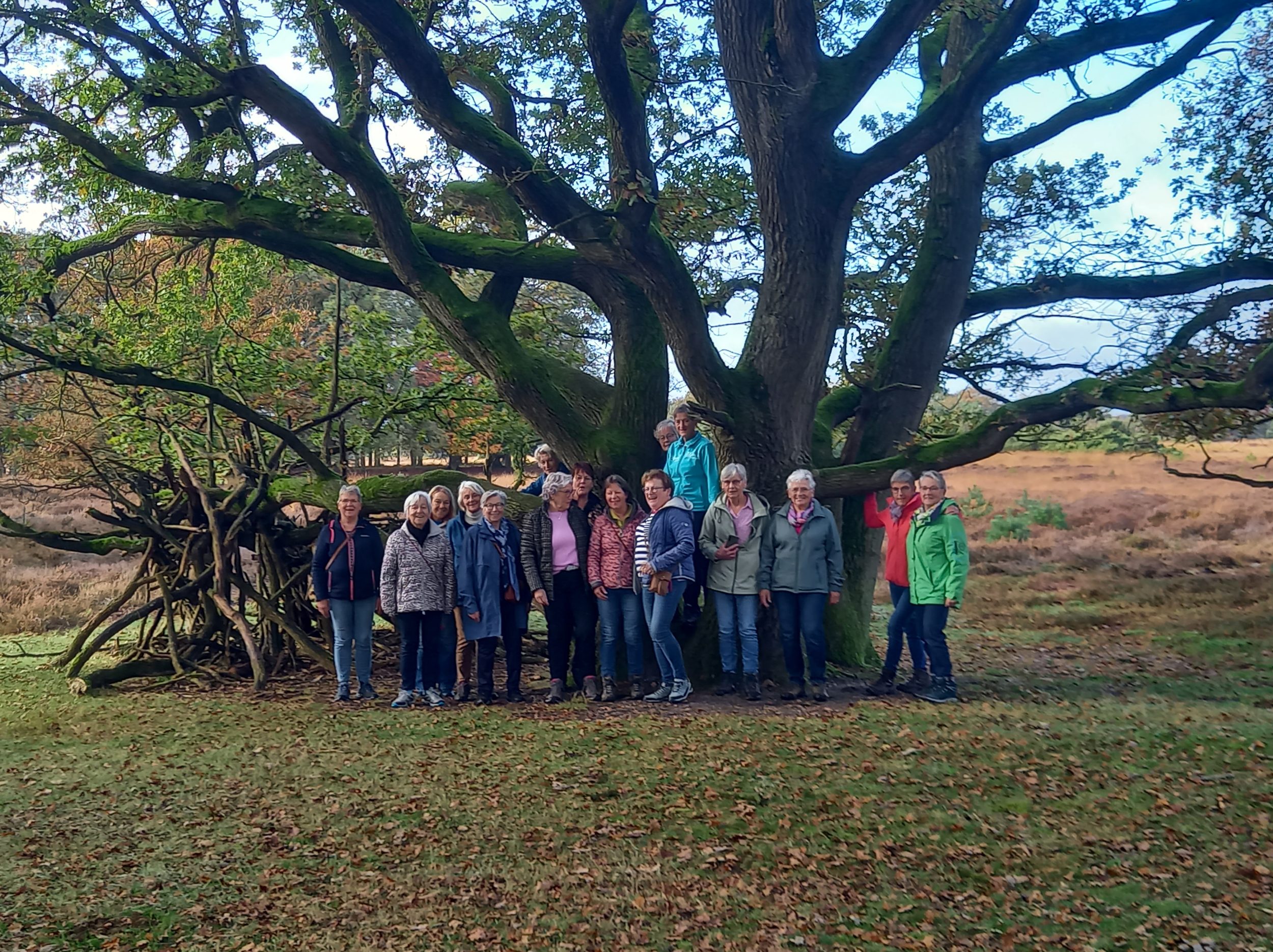 Herfstwandeling Vrouw Actief Hengevelde in Buurse geslaagd