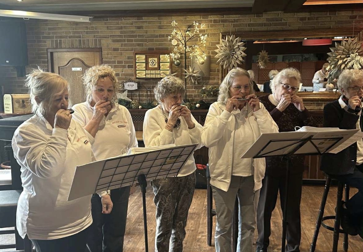 Oproep: docent mondharmonica gezocht in Hengevelde