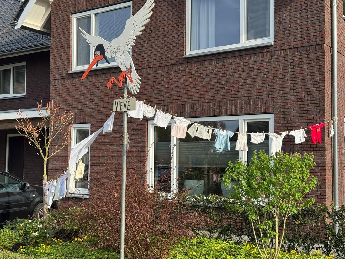 En dan is daar Vieve!