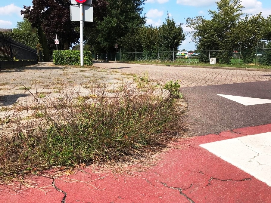 Gemeente doet beroep op inwoners bij onderhoud openbare ruimte