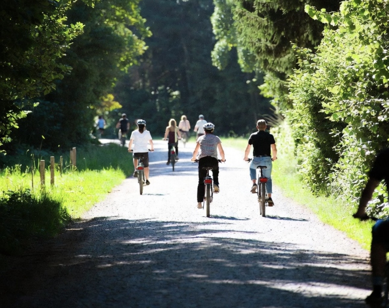 Wielerliefhebbers trekken tijdens Fietsvierdaagse door Hengevelde